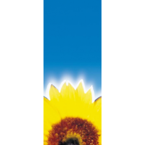 Вертикальный коллагенарий "C2"