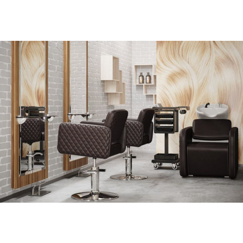 Парикмахерская мойка "Партизан"