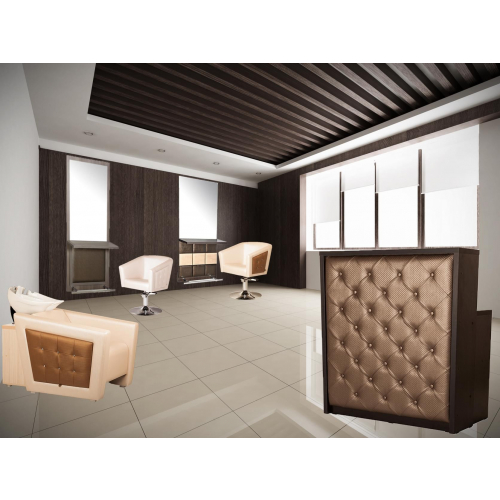 Парикмахерская мойка "Гармония II"