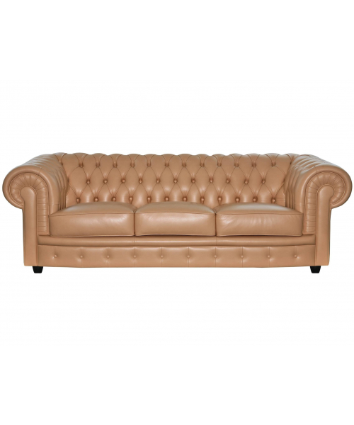 Трехместный диван "Делфина"